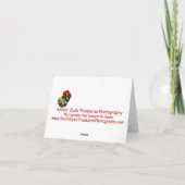 ドラゴフライズピンクデイジーズカワイイカード カード (裏面)