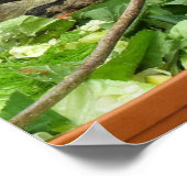 ドラゴリザードポスター ポスター (角)