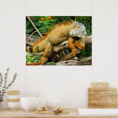 ドラゴリザードポスター ポスター (キッチン)