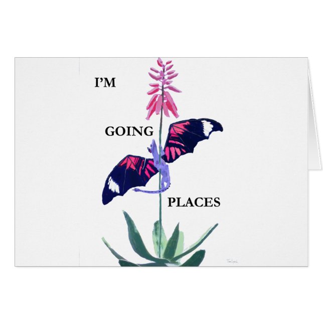 ドラゴンおよびサボテン (正面横)