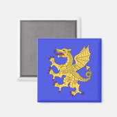 ドラゴンがはびこる マグネット (正面/裏面)