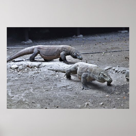 ドラゴンがパトロール ポスター (正面)