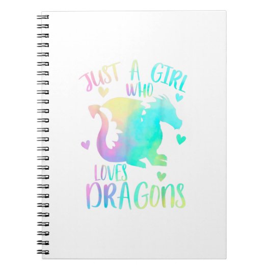 ドラゴンが大好きな女の子かわいいドラゴンをテーマにしたN ノートブック (正面)