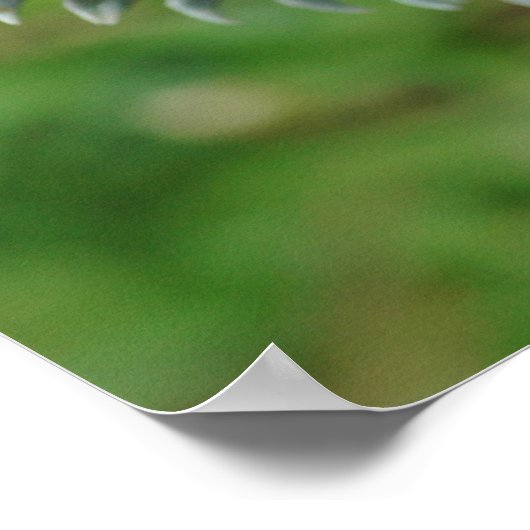 ドラゴンだ ポスター (角)