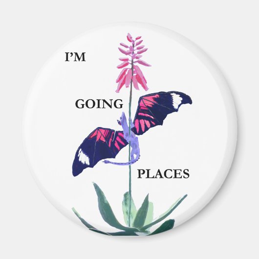 ドラゴンとサボテン マグネット (正面)