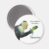 ドラゴンとサル マグネット (正面/裏面)