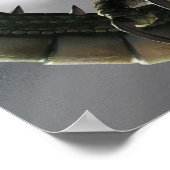 ドラゴンと魔女 ポスター (角)