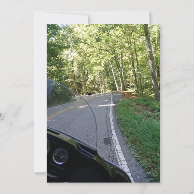 ドラゴンに乗る (正面)