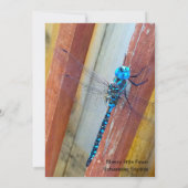 ドラゴンのはえ5 x 7表現または挨拶状 サンキューカード (裏面)