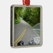 ドラゴンの尾 メタルオーナメント (右)