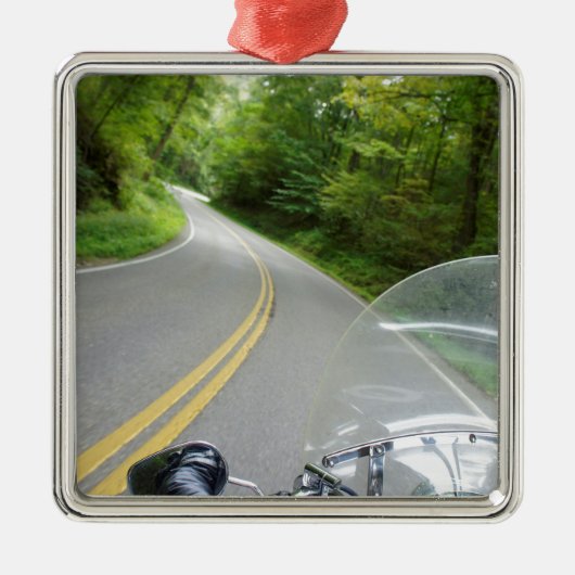 ドラゴンの尾 メタルオーナメント (正面)