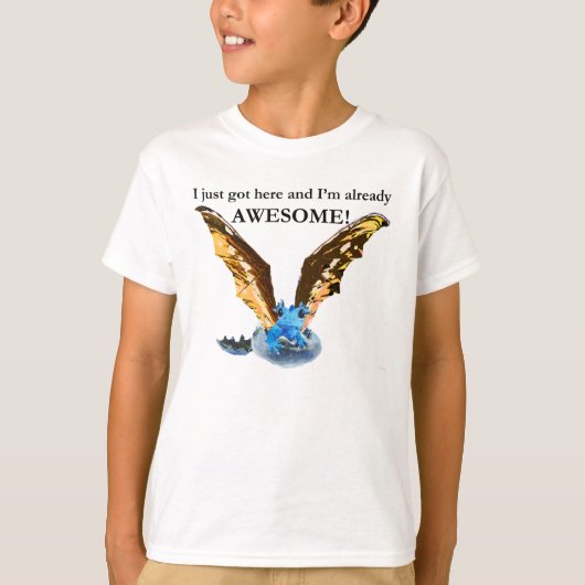 ドラゴンの工夫 Tシャツ (正面)