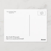 ドラゴンの歯からの秋の眺め ポストカード (裏面)