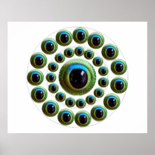 ドラゴンの目- Goodluckの中国人のコレクション ポスター