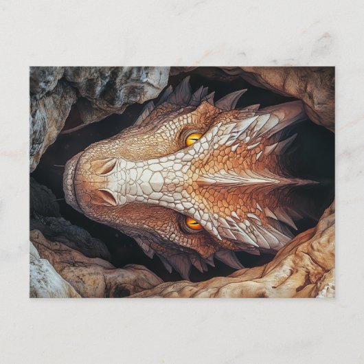 ドラゴンの視線 ポストカード (正面)