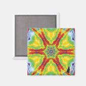 ドラゴンアイ万華鏡のように千変万化するパターン磁石 マグネット (正面/裏面)