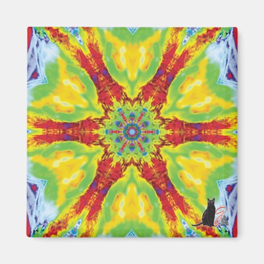 ドラゴンアイ万華鏡のように千変万化するパターン磁石 マグネット (正面)