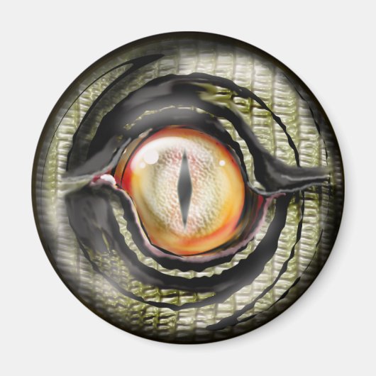 ドラゴンアイ マグネット (正面)