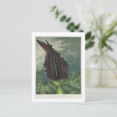 ドラゴンアルムはウォードが彫った「テンプル」から ポストカード (スタンド正面)