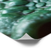 ドラゴンアートの目ファンタジー ポスター (角)