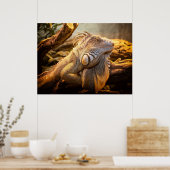 ドラゴンイグアナのポスター ポスター (キッチン)