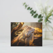 ドラゴンイグアナ ポストカード (スタンド正面)