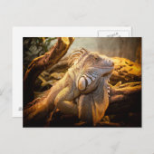 ドラゴンイグアナ ポストカード (正面/裏面)