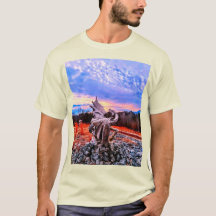 ドラゴンウェアとキッタスティックデザイン