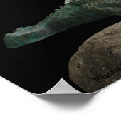 ドラゴンカメの成功ポスター ポスター (角)