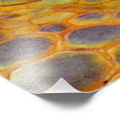 ドラゴンガーディアン フォトプリント            (角)