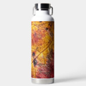 ドラゴンスキン ウォーターボトル (正面)