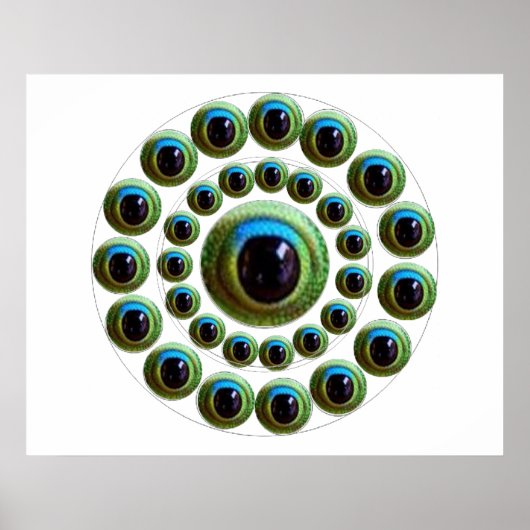 ドラゴンズアイ – グッドラックコレクシ中国のョン ポスター (正面)