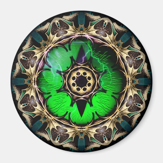 ドラゴンズアイ マグネット (正面)