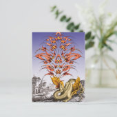 ドラゴンズブレス ポストカード (スタンド正面)