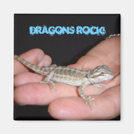 ドラゴンズ ロック マイ ワールド マグネット