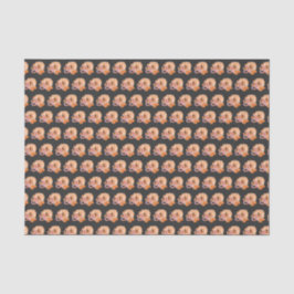 ドラゴンタレスチャウ辰年 薄葉紙