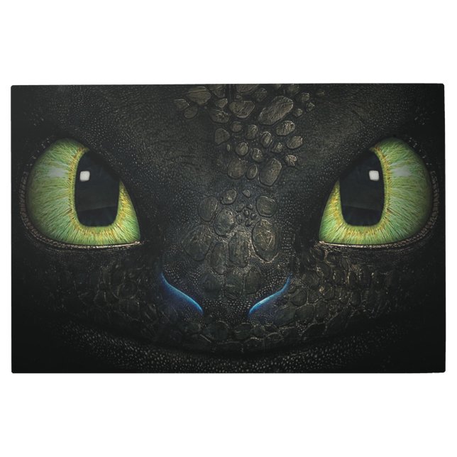 ドラゴントゥースレス36x 24インチメタルウォールアート メタルプリント (正面)