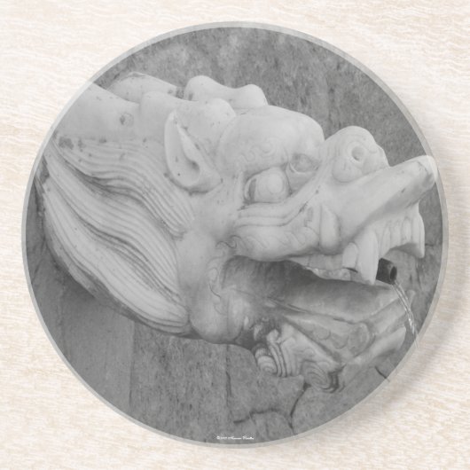 ドラゴンファウンテンコースター コースター (正面)