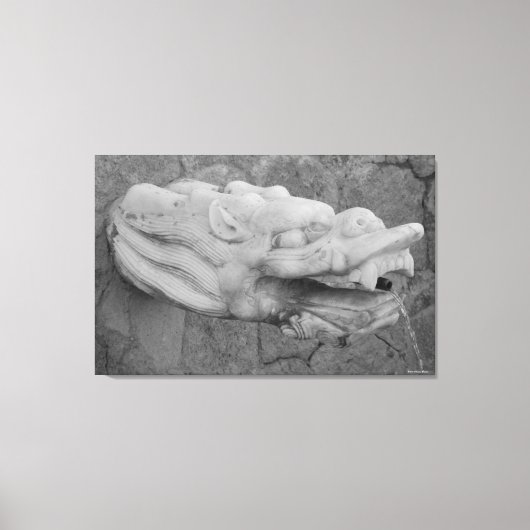 ドラゴンファウンテンストレッチキャンバスプリント キャンバスプリント (正面)