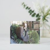 ドラゴンファウンテン ポストカード (スタンド正面)