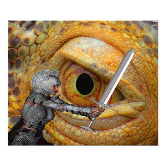 ドラゴンフォーク物語 フォトプリント            (正面)