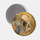 ドラゴンフォーク物語 マグネット (正面/裏面)