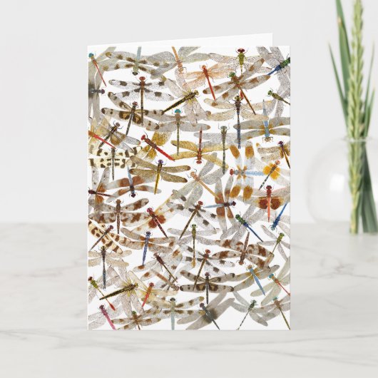 ドラゴンフライがガロール!グリーティングカード カード (正面)