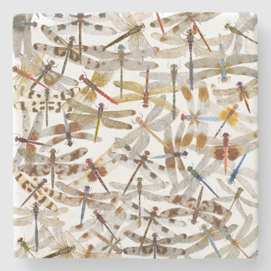 ドラゴンフライがガロール！コースター ストーンコースター (正面)