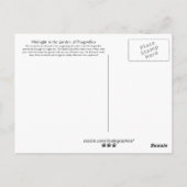 ドラゴンフライの庭の真夜中 ポストカード (裏面)