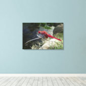 ドラゴンフライは枝の上に止まり、クローズアップ キャンバスプリント (インサイチュ (ウッドフロア))