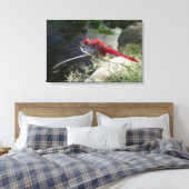 ドラゴンフライは枝の上に止まり、クローズアップ キャンバスプリント (インサイチュ (寝室))