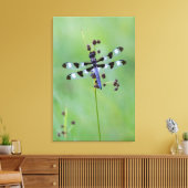 ドラゴンフライは草の上に置かれた,カナダ キャンバスプリント (インサイチュ (リビング))