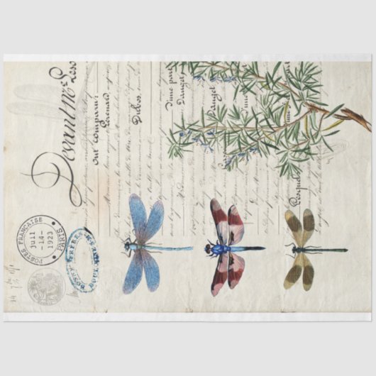 ドラゴンフライエフェメラ家具デクページ紙 薄葉紙 (正面)