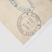 ドラゴンフライエフェメラ 薄葉紙 (詳細)